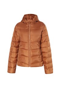 Giacca imbottita marrone con cappuccio, zip frontale e motivo trapuntato. Realizzata in materiale lucido e morbido, presenta polsini elasticizzati e un design leggermente croppato.