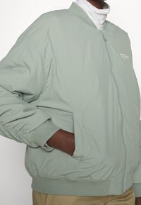Veste bomber vert clair, dotée d'une fermeture éclair, de poignets côtelés, de poches latérales et d'un détail de logo minimaliste. Tissu lisse et léger.