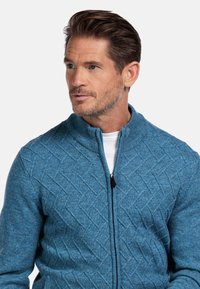 Blauwe ritstruien met een getextureerd ruitpatroon en geribbeld kraag. De stof ziet er zacht uit en creëert een gezellige uitstraling.