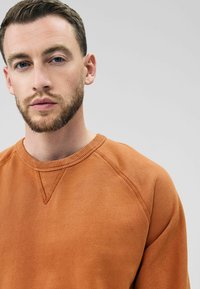 Sudadera color naranja quemado con escote redondo, cuello acanalado y mangas raglán. Textura suave, sin patrones ni acentos visibles.