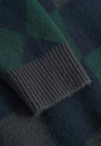 DOUBLE A BY W.W. JAN CREW NECK - Strickpullover - green gables check