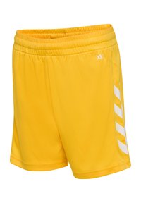 Gula sportshorts gjorda av ett lätt tyg. Elastisk midja, vita sidodetaljer och en slät yta. Inga fickor.