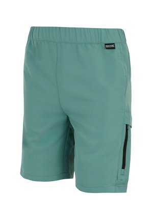Jasnozielone szorty outdoor z elastycznym pasem, boczną kieszenią na zamek błyskawiczny i małym logo Regatta Great Outdoors w pobliżu talii.