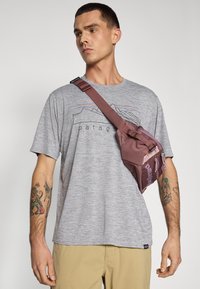 Patagonia DAILY GRAPHIC SHIRT - Sportiniai marškinėliai trumpomis rankovėmis - feather grey