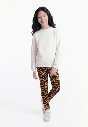 Friboo ANIMAL PRINTED 3 PACK - Pajkice – hlače - dark brown/brown/black