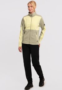Chaqueta de forro polar en amarillo claro y verde oliva, con un cuello alto, bolsillos con cremallera y una textura suave. Combinada con pantalones y zapatos negros.