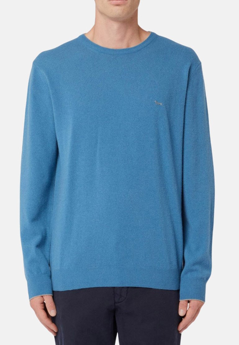 Maglione azzurro chiaro, lavorato a maglia, con scollo rotondo, maniche lunghe e orlo a coste. Presenta un piccolo logo sul petto. Texture morbida.