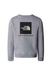 Grå hettegenser laget av bomullsblanding med ribbestrikkede mansjetter. Har et svart firkantet logo på baksiden og teksten "NEVER STOP EXPLORING."