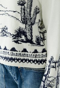 Gebreide trui met een crème achtergrond met marineblauwe cactussen en landschapspatronen, textuurstof, en geribbelde manchetten en zoom.