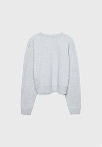 Grijze cropped sweatshirt met lange mouwen, ronde hals en geribde boorden. Gemaakt van zacht materiaal met een subtiele structuur. Achteraanzicht weergegeven.