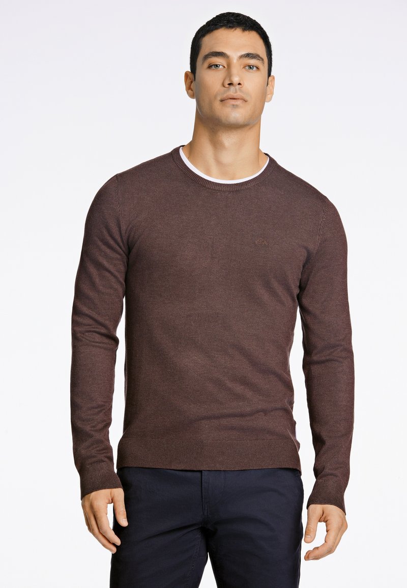 Mann trägt einen braunen Langarmpullover mit Rundhalsausschnitt und dunkle Hose, steht vor einem einfarbigen hellen Hintergrund.