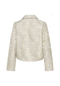 CUSOFIE STRAIGHT - Lengva striukė - silver
