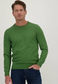 Groene gebreide trui met een ronde hals, lange mouwen en geribde boorden en zoom. Draagt over donkerblauwe jeans met een casual fit.