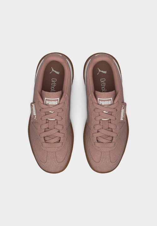 PUMA PALERMO JR UNISEX - Trainers - sandstone/vapor gray — foto 5