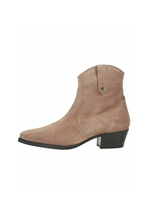 Bottine en daim marron avec un talon bloc bas, un bout pointu et une languette en haut sur fond blanc.