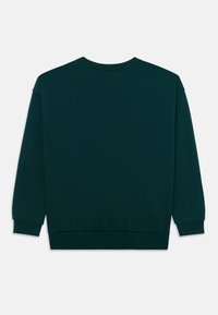 Tumši zaļš džemperis ar garām piedurknēm, apaļu kakla izgriezumu, ribotiem piedurkņu galiem un apakšmalu. Gluda tekstūra, bez redzamām rakstām vai grafikas.