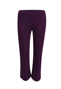 Purple cropped pants with tailored seams, straight legs, and a high waistband against a white background.