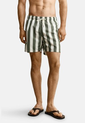 Mannelijke torso en benen gekleed in groen-wit verticaal gestreepte zwembroek en zwarte teenslippers, staand op een effen lichte achtergrond.