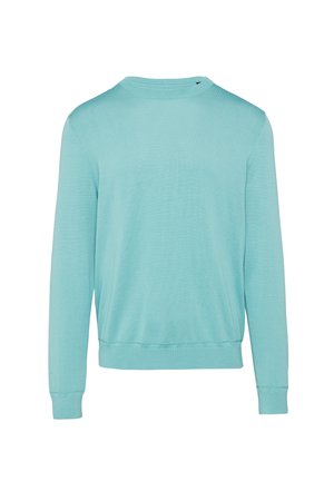 Lichtblauwe trui, lange mouwen, ronde halslijn, ribgebreide boorden en onderkant, zachte stof, minimalistisch ontwerp zonder patronen of versieringen.