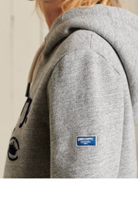Superdry & Co Jersey con capucha - grey