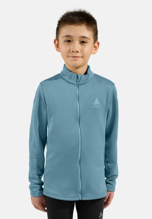 Light blue zip-up fleece jacket with a high collar, long sleeves, and logo detail. Smooth texture, designed for comfort and warmth.