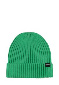 Zielona dziergana czapka typu beanie z prążkowaną fakturą i podwiniętym mankietem. Po boku znajduje się czarna metka z logo.