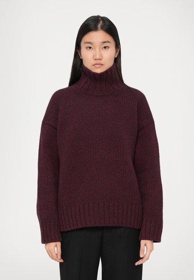 Woman with long dark hair wearing a dark purple chunky knit turtleneck sweater and black pants against a plain white background.