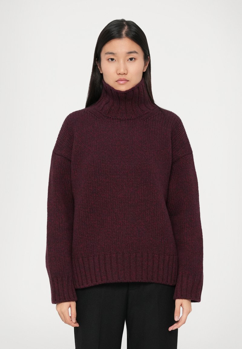 Femme aux longs cheveux noirs portant un pull en grosse maille col roulé violet foncé et un pantalon noir, sur fond blanc.