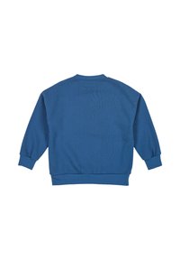 Blauwe sweatshirt van zacht materiaal, met een ronde hals, lange mouwen en ribgebreide manchetten en zoom. Effen ontwerp aan de achterkant.
