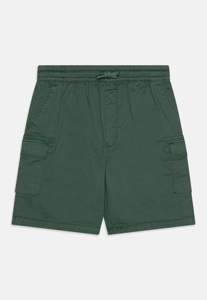 LIFESTYLE - Cargohose - admiral elm