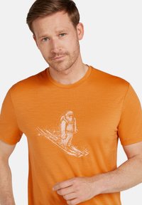 icebreaker Camiseta estampada - ray