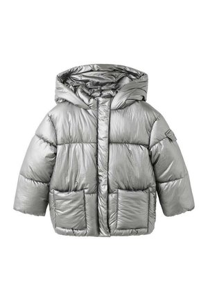 Chaqueta de invierno - silver
