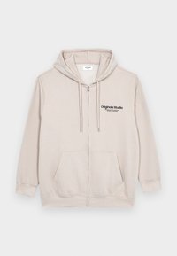 JORVESTERBRO ZIP HOOD - Sweat zippé - moonbeam