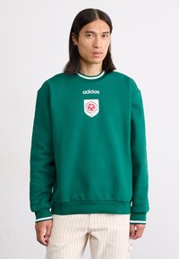 Grønn hettegenser med rund hals, med en hvit Adidas-logo og et rødt våpenskjold med et fotballmotiv. Ribbestrikkede mansjetter med hvite detaljer.