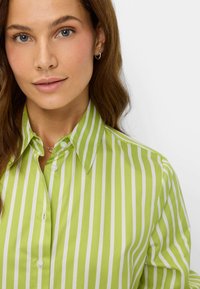 Groen-wit gestreept overhemd met knoopsluiting en kraag, met een gladde textuur en zichtbare knoopsluitingen.