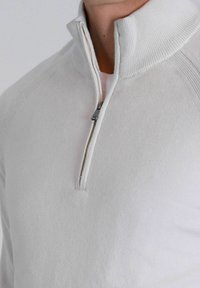 Helles graues Quarter-Zip-Pullover aus weichem Stoff. Mit geripptem Kragen und Manschetten, glatter Textur und minimaler Steppnaht.