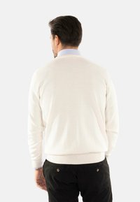 Maglione di cotone crema con maniche lunghe, polsini e vita a coste. Indossato sopra una camicia color azzurro chiaro, mostrato di spalle.