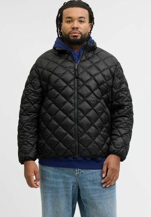 STEPP PLUS SIZE - Winterjacke - dark navy