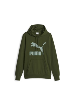 Felpa con cappuccio - green
