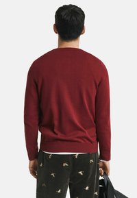 Roter Pullover mit langen Ärmeln, Rundhalsausschnitt und glatter Textur, kombiniert mit dunkelbraunen Cordhosen mit Vogelmuster.