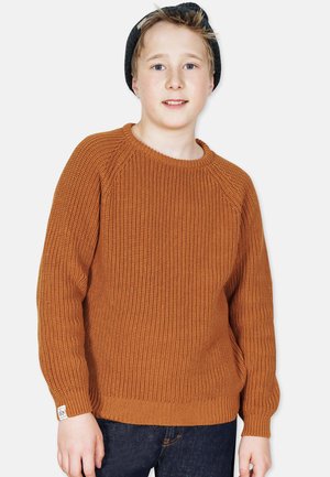 Rust-colored knitted sweater with textured pattern, ribbed cuffs and hem, crew neck design, worn with dark jeans.