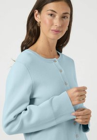 Lyseblå cardigan laget av mykt strikket materiale, med rund hals, knappestenging og ribbede mansjetter. Diskret tekstur og glatt finish.