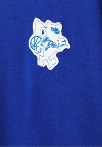 Ours blanc et bleu brodé tenant un ballon de basket sur un tissu bleu roi, représentant une mascotte ou un logo d'équipe sportive.