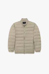 Wybrany, winter twig