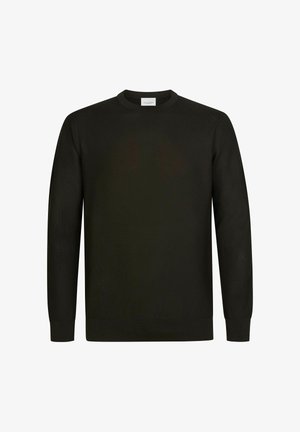 PROFUOMO, PROFUOMO PULLOVER CREW-NECK - Strickpullover - dark brown