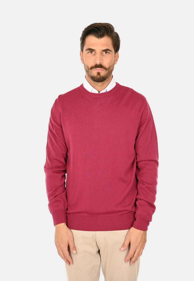 Maglione a maglia bordeaux con scollo rotondo, polsini e vita a costine, indossato sopra una camicia bianca con colletto. Texture liscia, maniche lunghe.