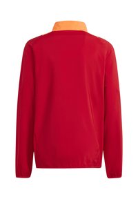Rote Jacke mit orangefarbenem Kragen, aus leichtem Material gefertigt, mit langen Ärmeln und lockerer Passform. Weiche Textur mit minimaler Detailierung.
