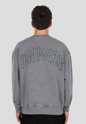 CREWNECK - Sweatshirt - grey washed