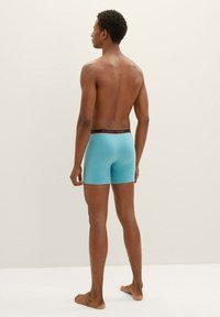 TOM TAILOR LONG PANTS 4 PACK - Uske bokserice - green/medium horizontal stripe