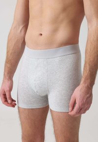 Boxer in cotone grigi con un morbido elastico in vita, caratterizzati da un design aderente e cuciture piatte per comfort e durata.